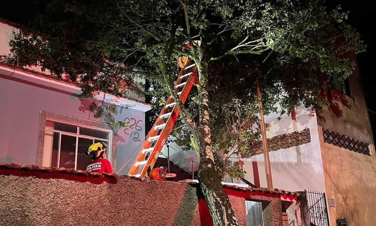 Em 17h, Juiz de Fora supera a média de chuva prevista para abril