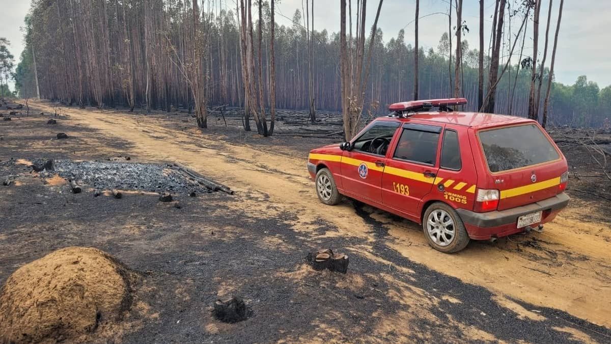 Incêndio florestal atinge 40 hectares de fazenda no interior de Minas