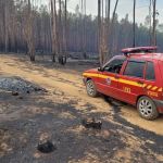 Incêndio florestal atinge 40 hectares de fazenda no interior de Minas