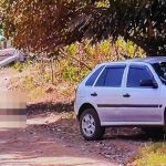 Abelhas invadem carro e motorista morre com as picadas