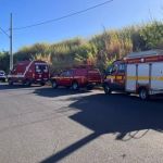 Moradores confundem miado de gato com choro de bebê e acionam Corpo de Bombeiros
