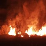 Incêndio de grandes proporções atinge mata próxima a aeroporto de cidade mineira; veja imagens
