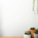 Cobra aparece em vaso de planta em apartamento no interior de Minas Gerais