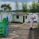 Crianças ficam trancadas em creche durante ataque de marimbondos