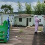 Crianças ficam trancadas em creche durante ataque de marimbondos