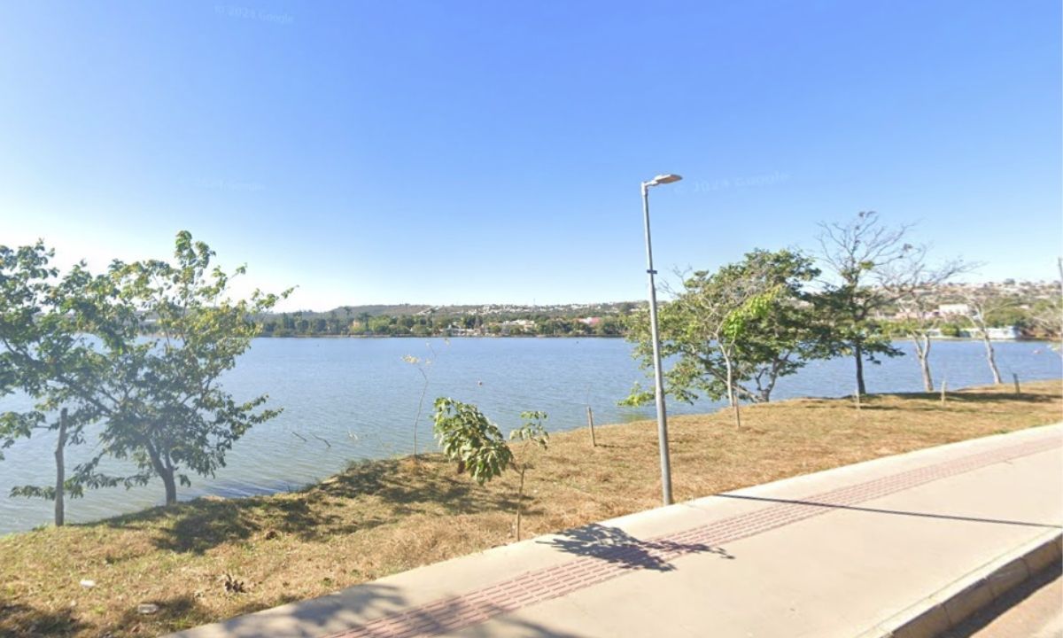 Força-tarefa segue tentando resgatar jacaré ferido em Lagoa Santa (MG) nesta quarta (6)