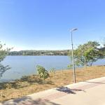 Força-tarefa segue tentando resgatar jacaré ferido em Lagoa Santa (MG) nesta quarta (6)