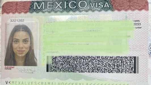 Boninho compartilhou visto mexicano de Key Alves