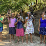Vale do Jequitinhonha investe no resgate de cultura dizimada por praga; saiba qual