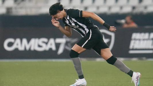 Botafogo adotou o gramado sintético nesta temporada no Nilton Santos