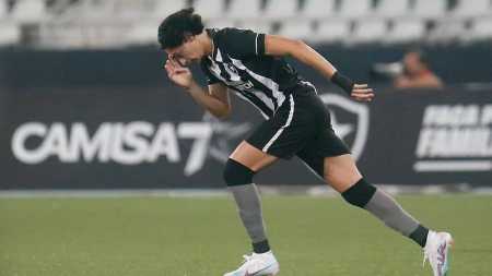 Botafogo adotou o gramado sintético nesta temporada no Nilton Santos