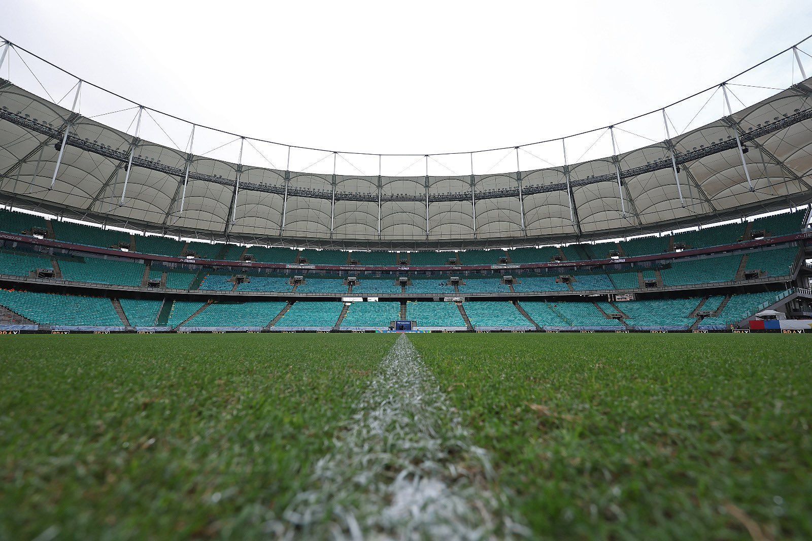 Bahia x Botafogo:  veja a escalações para jogo da Copa do Brasil