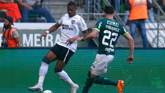 Botafogo e Palmeiras no primeiro turno do Brasileirão
