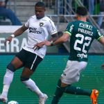 Botafogo x Palmeiras: onde assistir ao jogo pela Série A do Brasileirão 