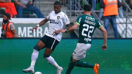 Botafogo e Palmeiras no primeiro turno do Brasileirão
