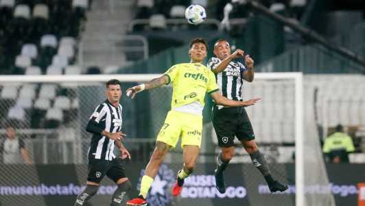 Botafogo e Palmeiras estão envolvidos na disputa do título do Campeonato Brasileiro