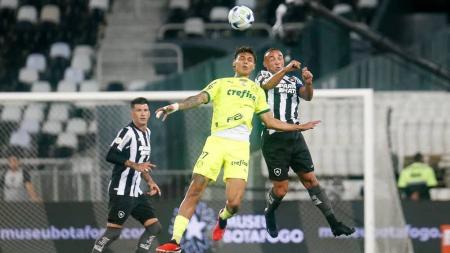 Botafogo e Palmeiras estão envolvidos na disputa do título do Campeonato Brasileiro