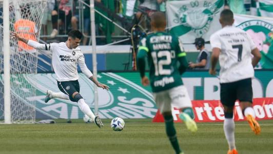 Botafogo e Palmeiras se enfrentam nesta quarta (1), no Nilton Santos, pelo Brasileirão