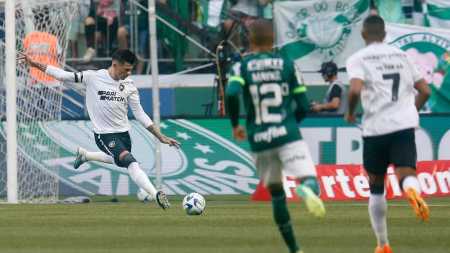 Botafogo e Palmeiras se enfrentam nesta quarta (1), no Nilton Santos, pelo Brasileirão