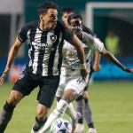 Botafogo reencontra o Nilton Santos lotado para corrigir a rota no Brasileiro