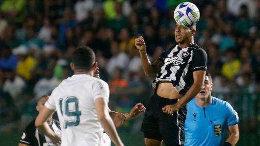 Botafogo foi derrotado pelo Goiás neste domingo (14)