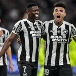 Botafogo 2 x 1 Palmeiras: veja gols e melhores momentos do jogo pela Libertadores