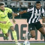 Botafogo tem campanha de rebaixado no returno do Campeonato Brasileiro