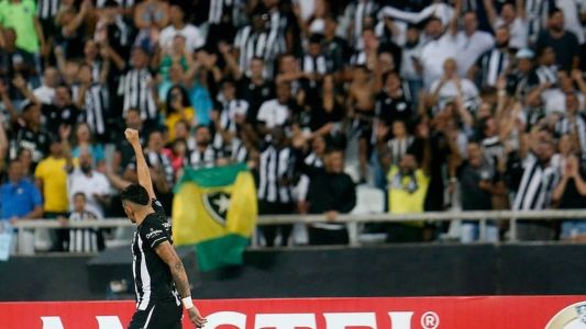 Botafogo tem conquistado bons resultados no Nilton Santos