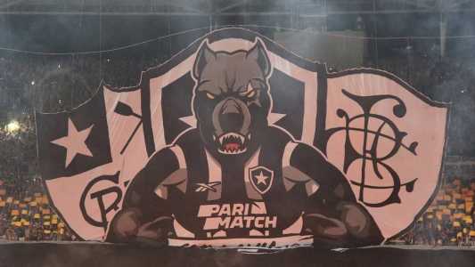 Botafogo volta a atuar no Nilton Santos contra o Goiás, em 2 de outubro