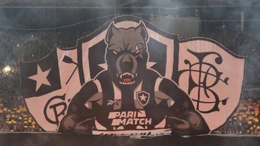 Botafogo volta a atuar no Nilton Santos contra o Goiás, em 2 de outubro