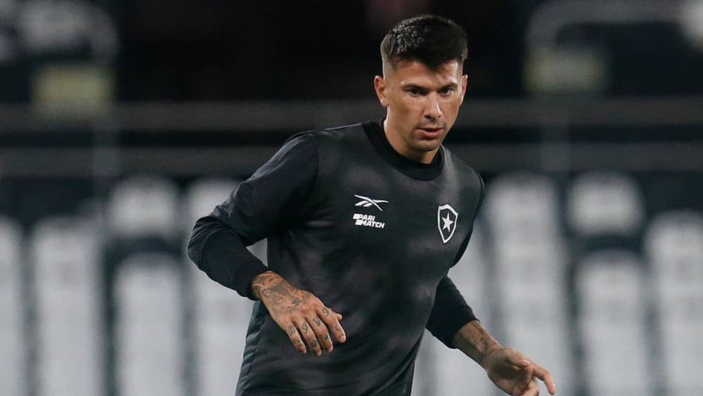 Botafogo x Palmeiras: veja escalações pelo Brasileiro