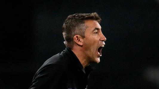 Botafogos segue com boas chances de título no Campeonato Brasileiro