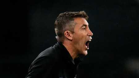 Botafogos segue com boas chances de título no Campeonato Brasileiro