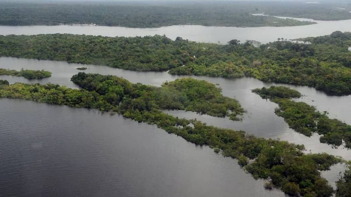 Entenda por que Lula convidou a Indonésia e as repúblicas do Congo para Cúpula da Amazônia