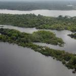 Entenda por que Lula convidou a Indonésia e as repúblicas do Congo para Cúpula da Amazônia