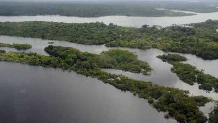 Brasil, repúblicas do Congo e Indonésia têm as três maiores florestas tropicais do mundo
