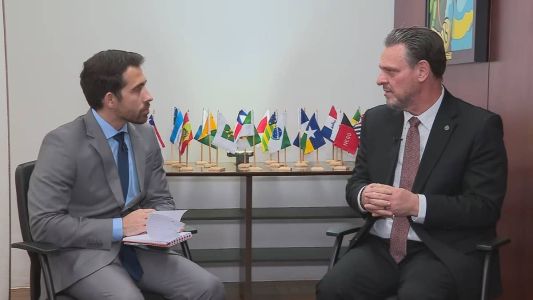 Brasil depende de 5,5 milhões de toneladas de trigo da Ucrânia, diz ministro da Agricultura à CNN.