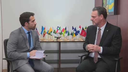 Brasil depende de 5,5 milhões de toneladas de trigo da Ucrânia, diz ministro da Agricultura à CNN.