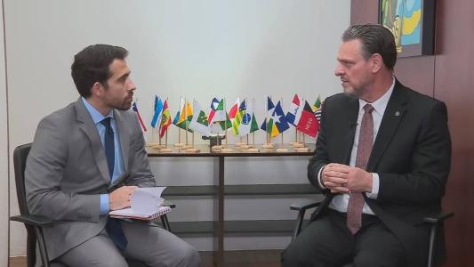 Brasil depende de 5,5 milhões de toneladas de trigo da Ucrânia, diz ministro da Agricultura à CNN.