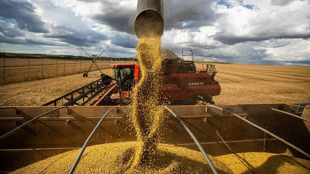 Agro oferece boas opções de investimento; saiba quais são e como aplicar