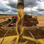 Agro oferece boas opções de investimento; saiba quais são e como aplicar