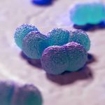 Meningite bacteriana: entenda doença que já causou mortes em MG neste ano
