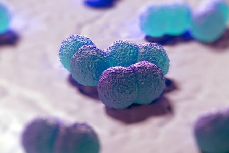 Meningite bacteriana: entenda doença que já causou mortes em MG neste ano