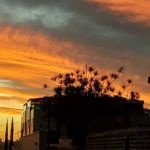 Cidade de Minas foi a mais quente do Brasil nas últimas oito onda de calor