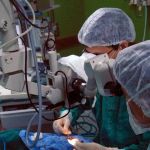 Transplantes: receptor pode saber quem fez a doação? Entenda