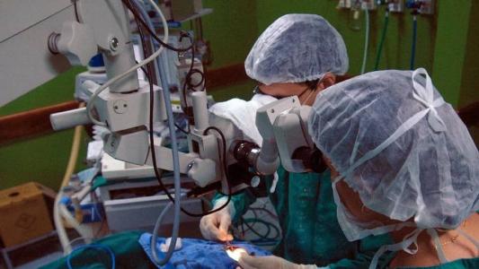 Brasil tem legislação avançada para transplantes