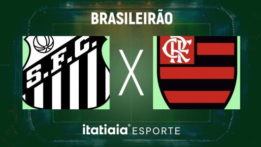 Santos e Flamengo se enfrentam pelo Brasileirão
