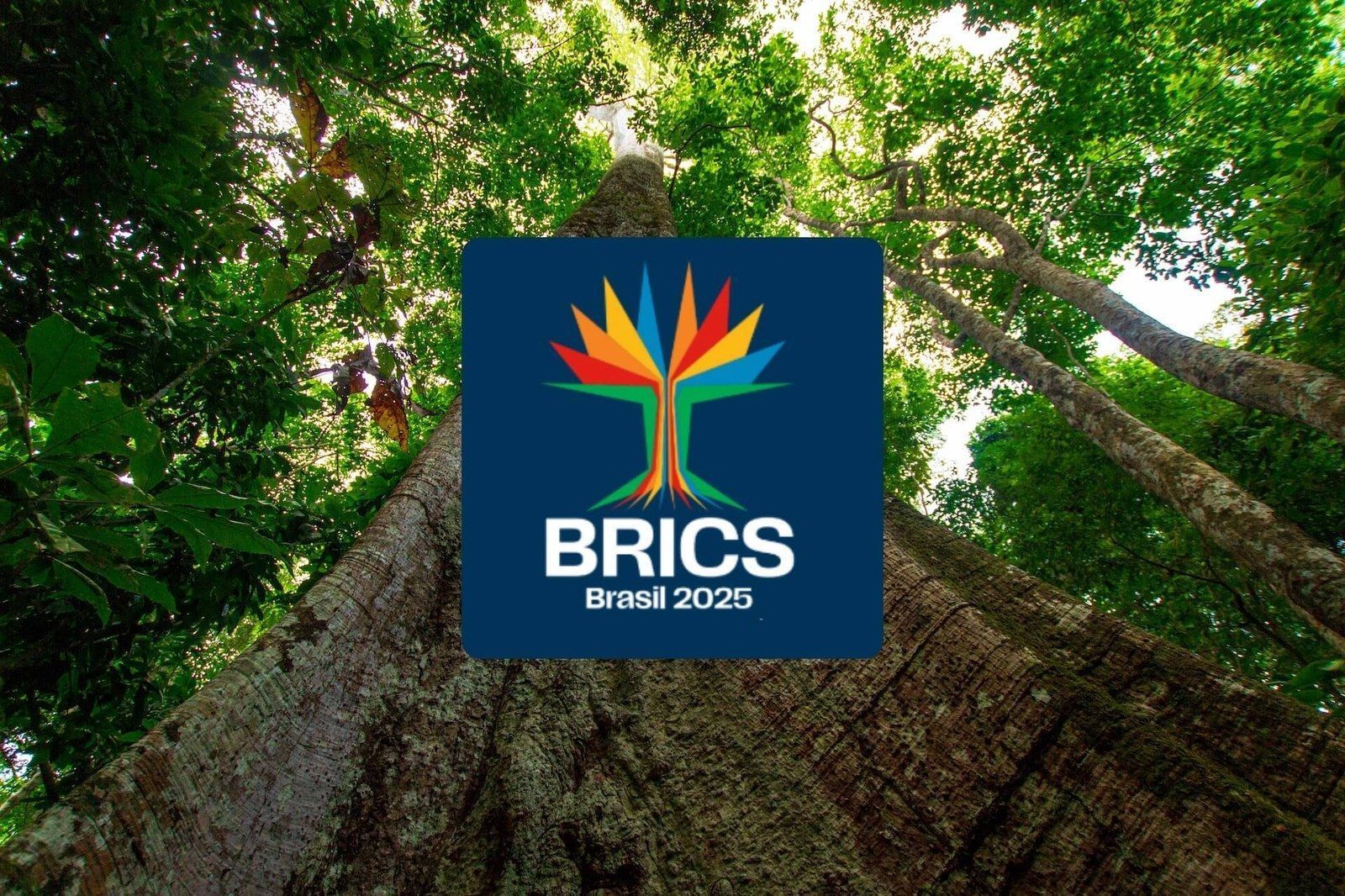 Brics: Saiba quais líderes vão participar da cúpula no Rio de Janeiro