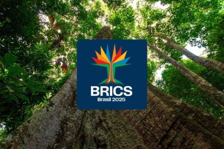 A logo dos Brics no Brasil