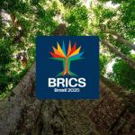 Brics: Saiba quais líderes vão participar da cúpula no Rio de Janeiro